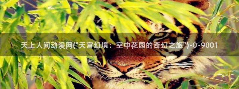 仙剑奇侠传动漫：天上人间动漫网(\