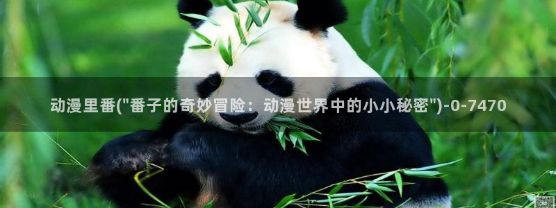 成人动漫网站：动漫里番(\