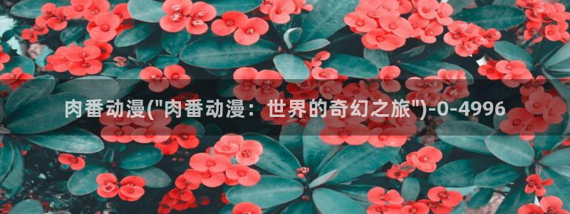 av动漫