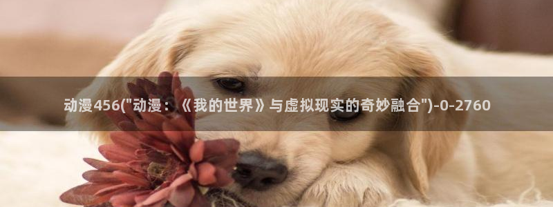 cc动漫
