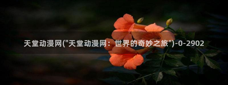 动漫之家