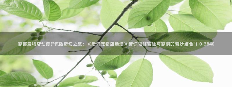 穿越动漫