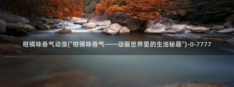 动漫网站