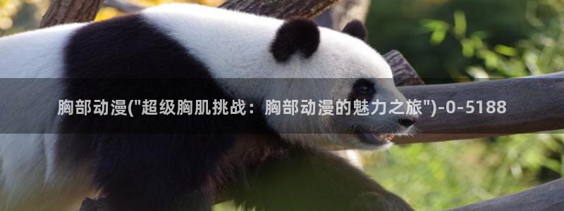 风车动漫在线观看